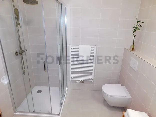 Pronájem bytu 2+kk, Plzeň, Hřímalého, 75 m2