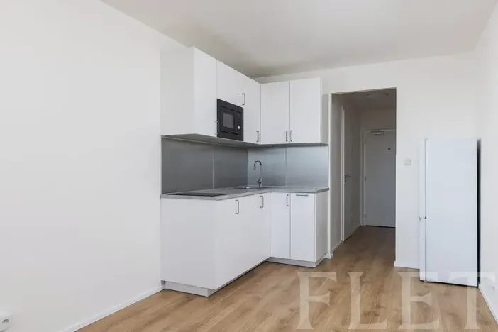 Pronájem bytu 1+kk, Praha - Chodov, Čenětická, 23 m2