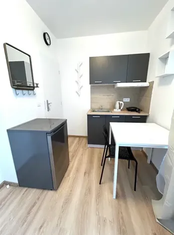 Pronájem bytu 1+kk, Kladno, Hřebečská, 16 m2