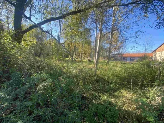 Dražba louky, Raspenava, 376 m2