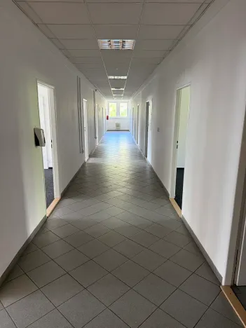 Pronájem kanceláře, Praha - Žižkov, U zásobní zahrady, 276 m2