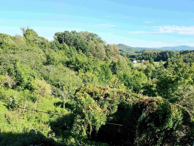 Prodej rodinného domu, Žulová, 350 m2