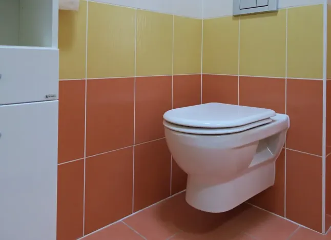 Pronájem bytu 2+kk, Brno, Netušilova, 42 m2