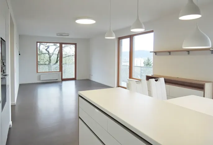 Pronájem bytu 3+kk, Brno, Pastviny, 99 m2