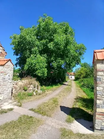 Prodej komerční nemovitosti, Pavlov, Lidická, 659 m2