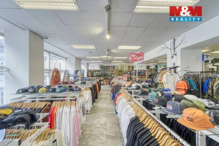 Pronájem restaurace, Plzeň - Vnitřní Město, Zbrojnická, 598 m2