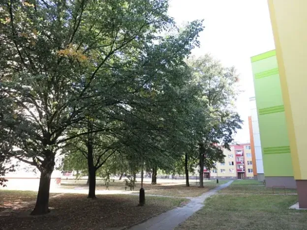 Pronájem bytu 1+1, Přerov, 40 m2