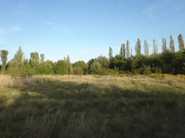 Prodej louky, Kosmonosy, 8401 m2