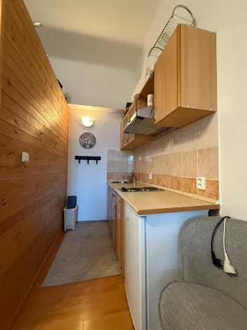 Prodej bytu 1+kk, Mariánské Lázně, Chebská, 35 m2