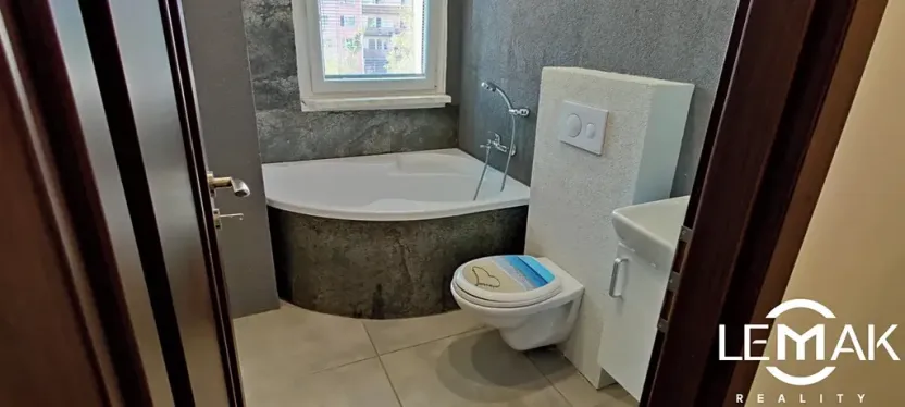 Pronájem bytu 1+kk, Olomouc, Schweitzerova, 25 m2