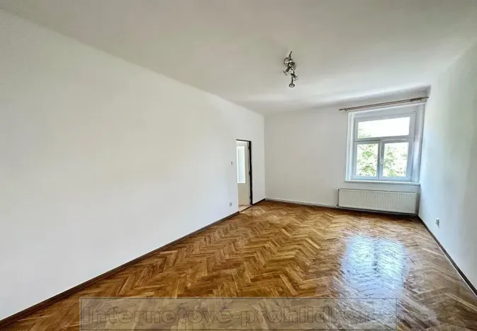 Pronájem bytu 1+1, Praha - Žižkov, Luční, 69 m2