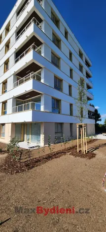 Prodej bytu 2+kk, Liberec, Polní, 69 m2