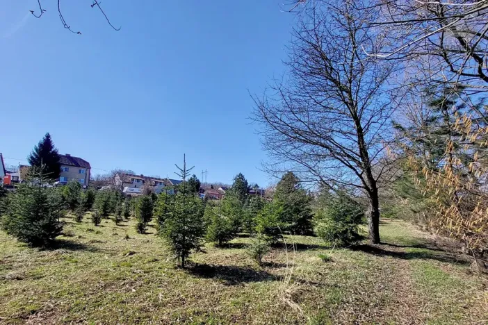 Prodej komerčního pozemku, Popůvky, 971 m2