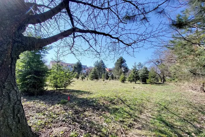 Prodej komerčního pozemku, Popůvky, 971 m2