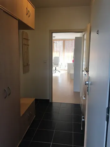 Pronájem bytu 2+kk, Brno, Spálená, 60 m2