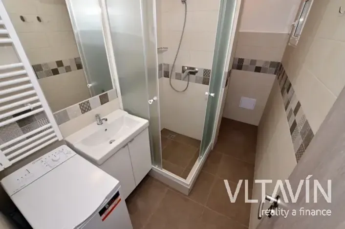 Pronájem bytu 1+kk, Praha - Vinohrady, Mánesova, 30 m2