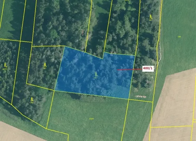 Dražba lesa, Bílsko, 3965 m2