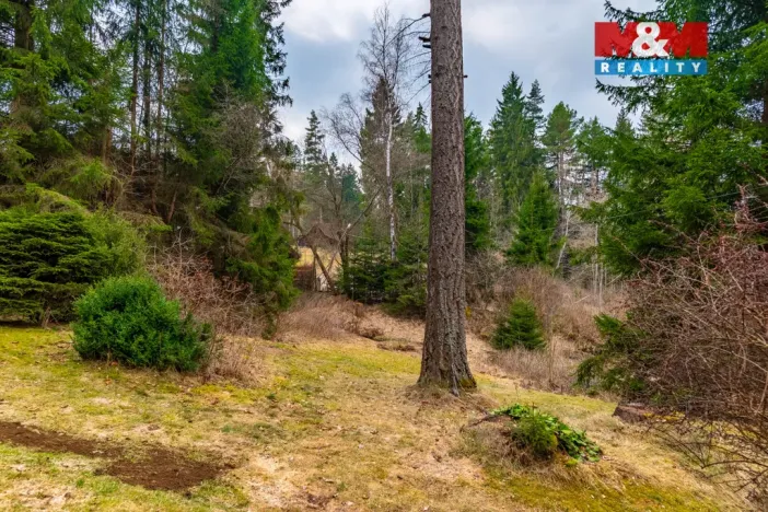 Prodej rodinného domu, Přední Výtoň, 97 m2