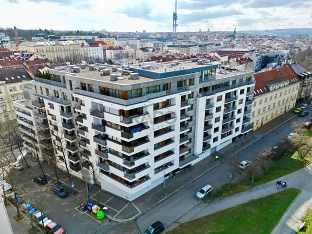 Prodej bytu 3+kk, Praha - Žižkov, Kališnická, 93 m2