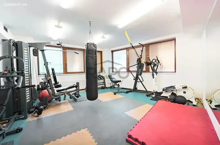 Prodej bytu 3+kk, Praha - Žižkov, Kališnická, 93 m2