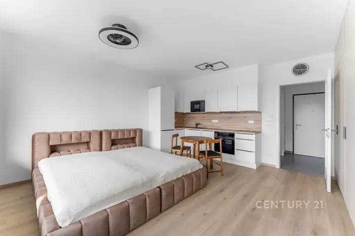 Pronájem bytu 1+kk, Praha - Žižkov, Olgy Havlové, 32 m2