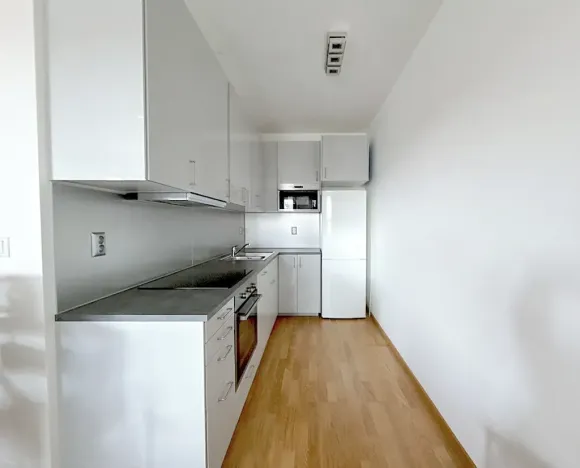 Pronájem bytu 2+kk, Praha - Holešovice, Osadní, 66 m2