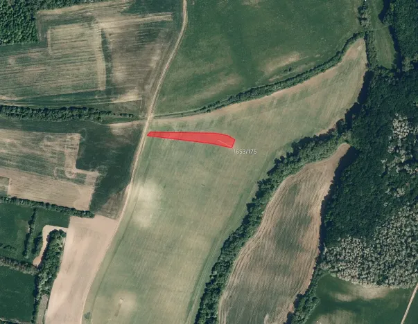 Prodej pole, Kyjov, 7186 m2