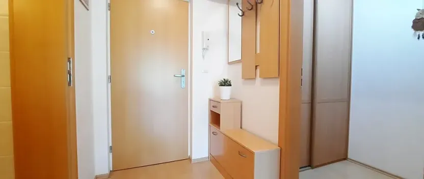 Pronájem bytu 1+kk, Brno, Šemberova, 51 m2