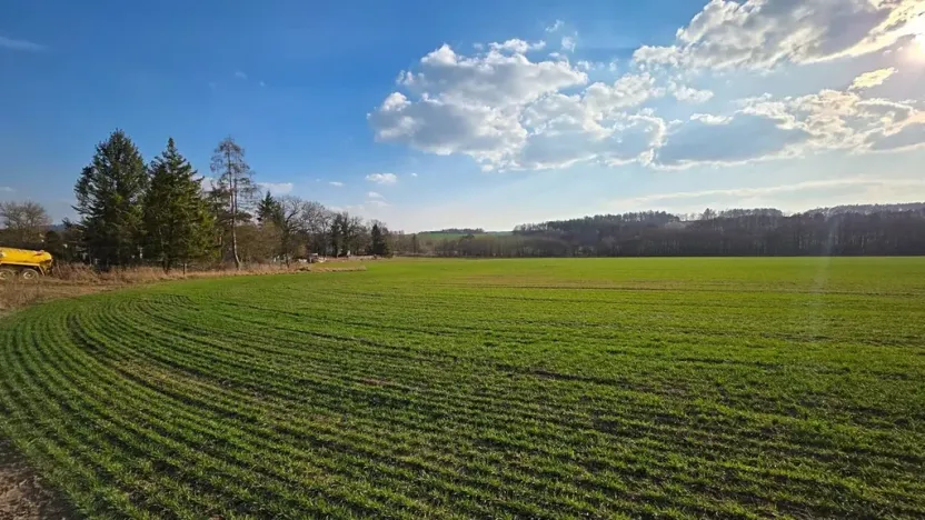 Prodej pole, Dolní Hbity, 225000 m2
