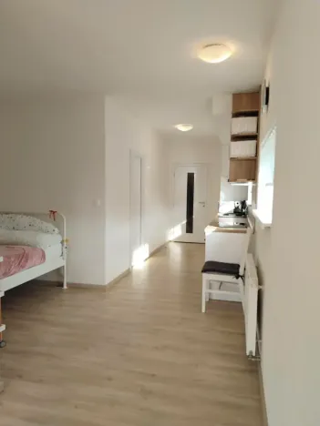 Pronájem bytu 1+kk, Plzeň, Klatovská třída, 47 m2