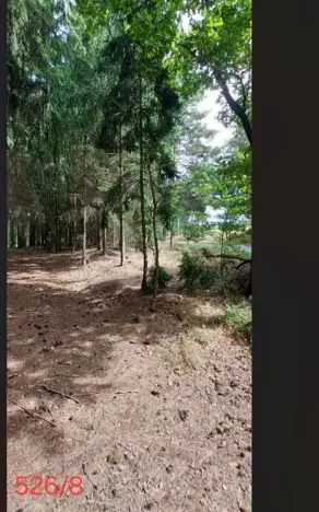 Prodej lesa, Červená Řečice, 214 m2