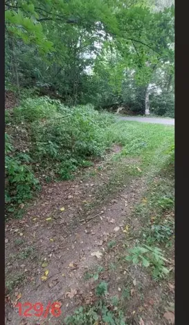 Prodej lesa, Červená Řečice, 136 m2