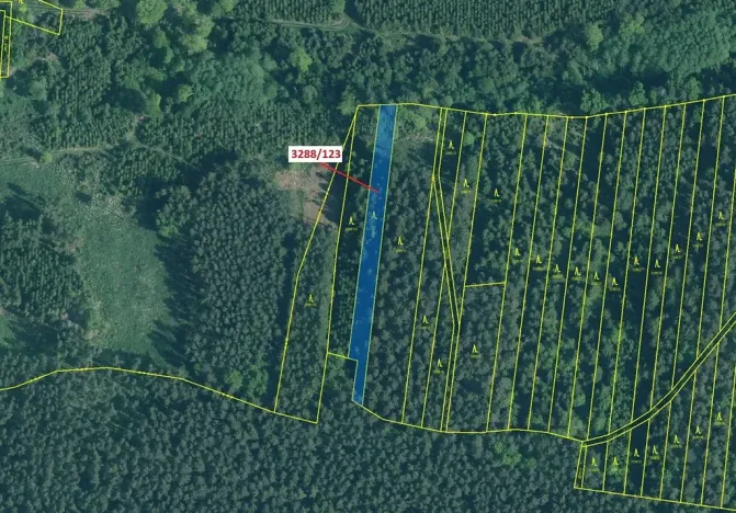 Dražba lesa, Hosty, 1707 m2