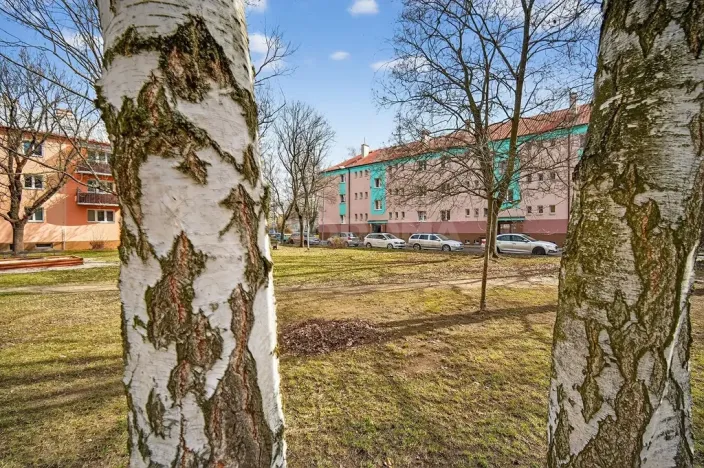 Prodej bytu 2+1, Plzeň, U Školky, 58 m2