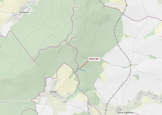 Dražba lesa, Nová Hradečná, 5079 m2