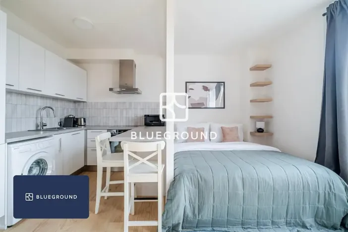 Pronájem bytu 1+kk, Praha - Vinohrady, Perucká, 27 m2