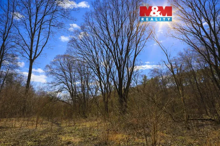 Prodej lesa, Snědovice - Střížovice, 2037 m2