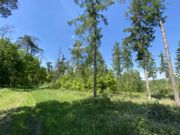 Prodej lesa, Kropáčova Vrutice - Sušno, 15167 m2