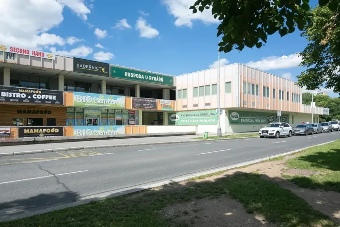 Pronájem obchodního prostoru, Praha - Troja, Lodžská, 220 m2