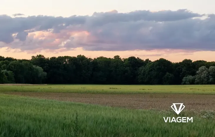 Prodej podílu pole, Střemošice, 1822 m2