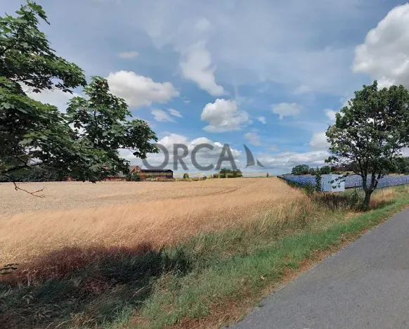 Prodej komerčního pozemku, Prostějovičky, 3240 m2