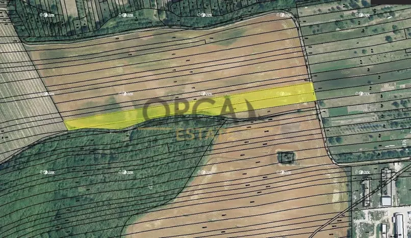 Prodej pole, Syrovín, 5796 m2