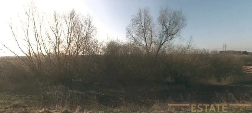 Prodej lesa, Stařechovice, 4595 m2