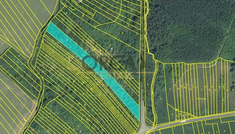 Prodej pole, Březolupy, 17736 m2