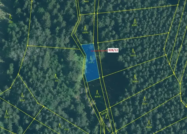 Dražba lesa, Hosty, 418 m2