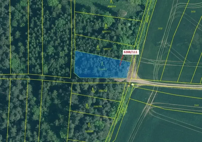 Dražba lesa, Hosty, 978 m2