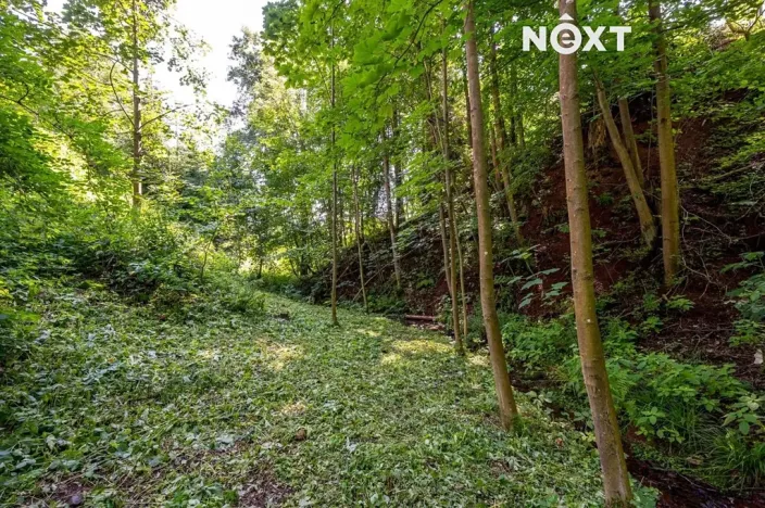 Prodej rodinného domu, Bukovina u Čisté, 205 m2