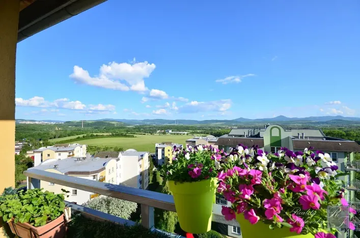 Prodej bytu 2+1, Chlumec, Stradovská, 64 m2