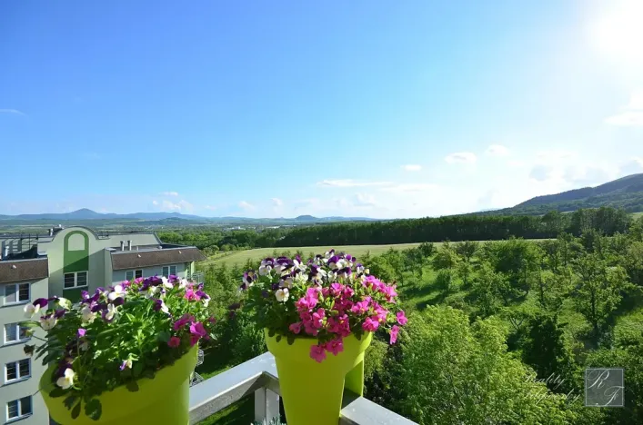 Prodej bytu 2+1, Chlumec, Stradovská, 64 m2