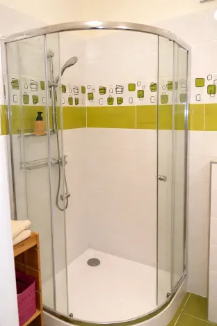 Pronájem bytu 1+kk, Praha - Žižkov, Fibichova, 25 m2